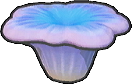 Coral pequeño