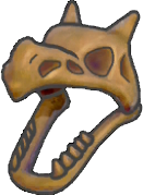 Cráneo de fósil alado