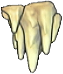 Estalactitas