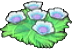 Flores marinas