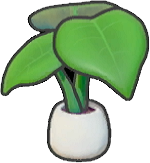 Planta de hojas grandes