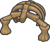 Tronco de fósil escudo