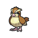 Pidgey