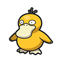 Psyduck