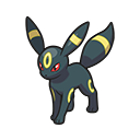 Umbreon