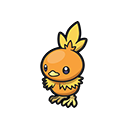 Torchic
