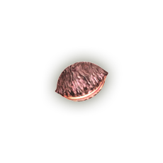 Nuez deku