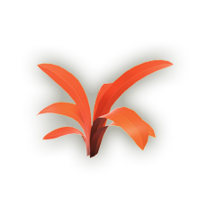 Hierba