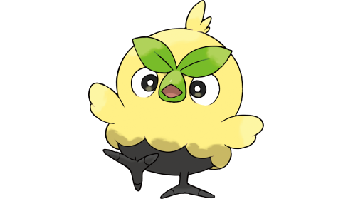 Browt, el Pokémon Pollito Haba