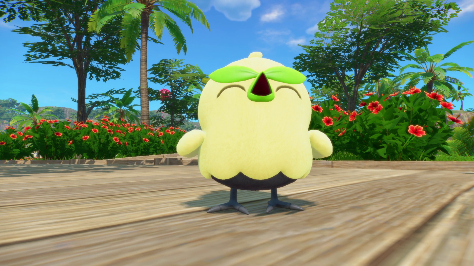 Browt, el Pokémon Pollito Haba