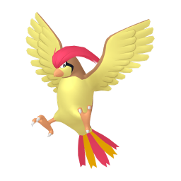 #0017 Pidgeotto