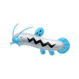 #0339 Barboach