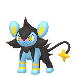 #0404 Luxio