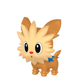 #0506 Lillipup
