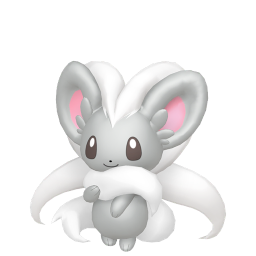 #0573 Cinccino