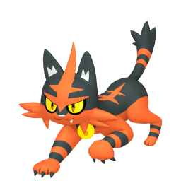 #0726 Torracat