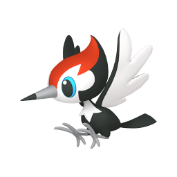 #0731 Pikipek