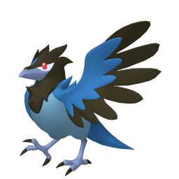 #0822 Corvisquire
