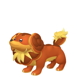 #0927 Dachsbun