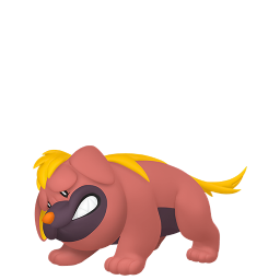 #0942 Maschiff