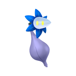 #0969 Glimmet