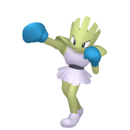 #0107 Hitmonchan (Variocolor)