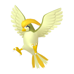 #0017 Pidgeotto (Variocolor)