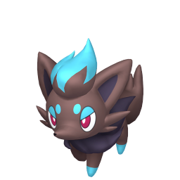 #0570 Zorua (Variocolor)
