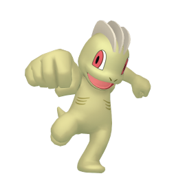 #0066 Machop (Variocolor)