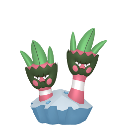 #0688 Binacle (Variocolor)