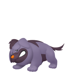 #0942 Maschiff (Variocolor)