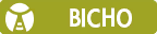 Bicho