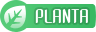 Planta