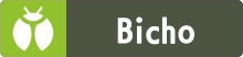 Bicho