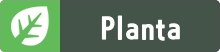 Planta
