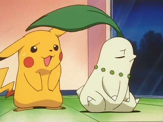 Chikorita's Big Upset! - The Johto Journeys