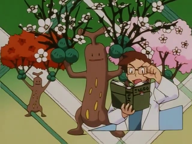 Type Casting! - Johto League Champions