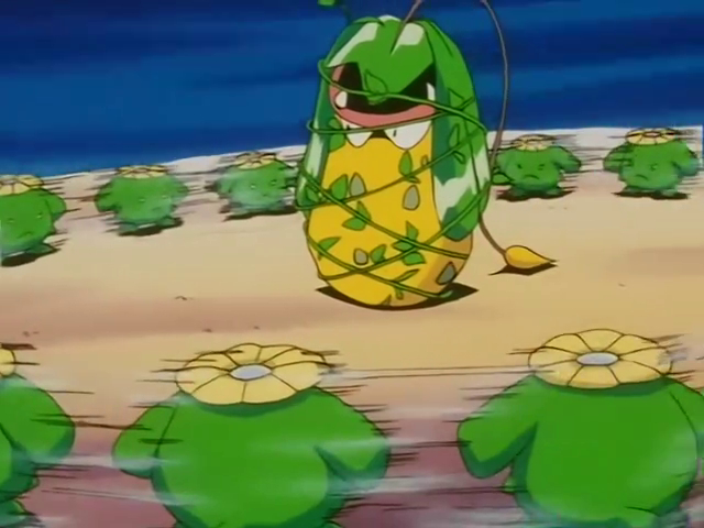 The Grass Route - Johto League Champions