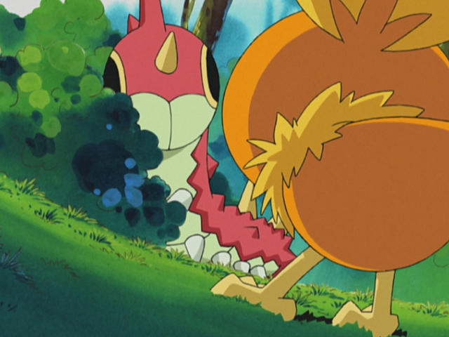 All in a Day's Wurmple - Advanced