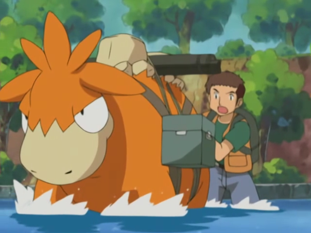 Lights, Camerupt, Action! - Advanced Challenge