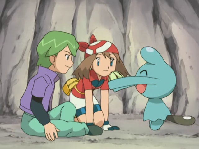 Who, What, When, Where, Wynaut? - Advanced Battle