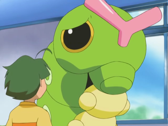 Caterpie's Big Dilemma - Advanced Battle