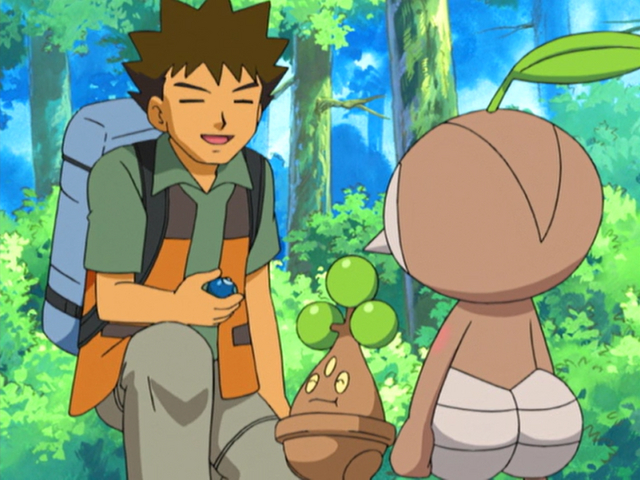 Leave It to Brocko! - Diamond and Pearl