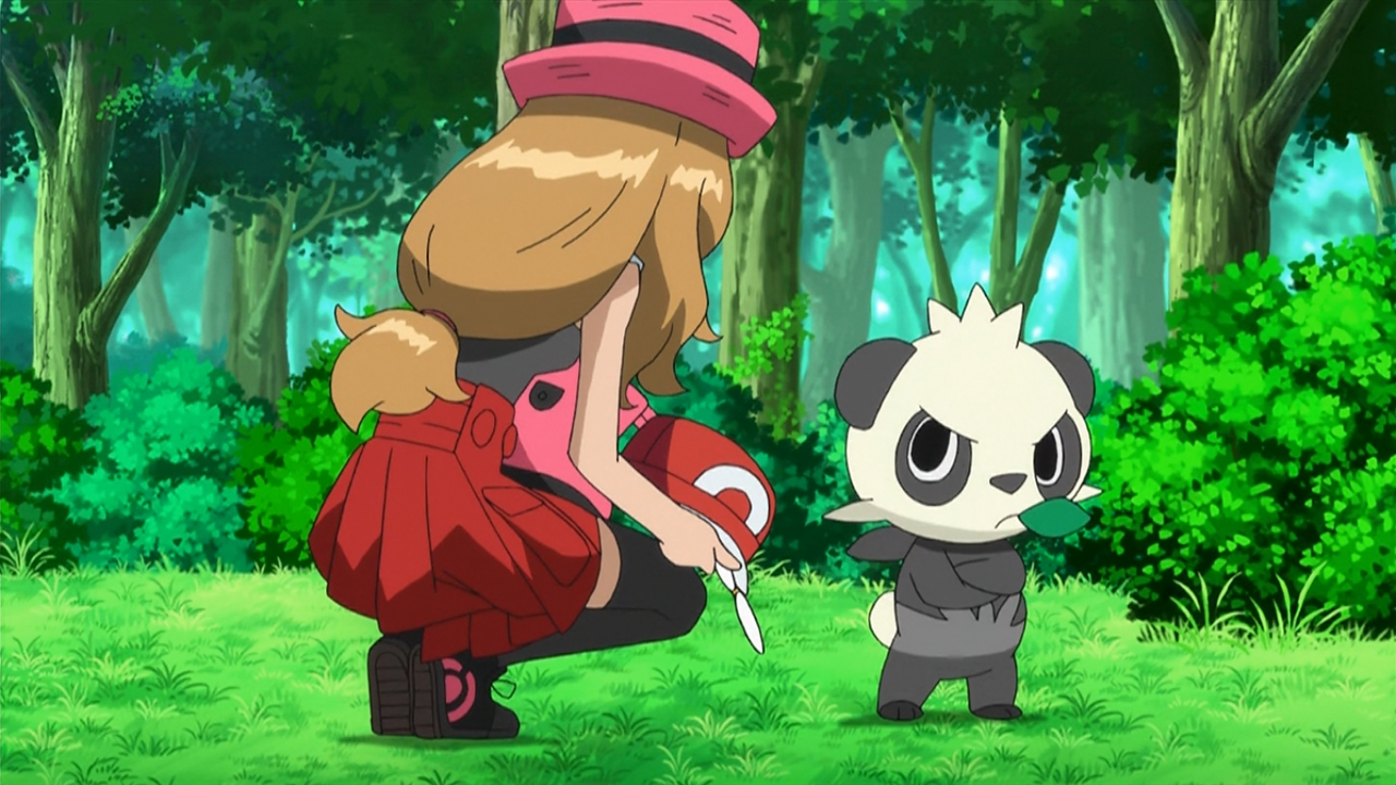 Dreaming a Performer's Dream! - XY