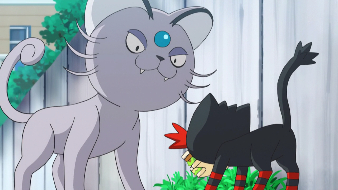 That's Why the Litten Is a Scamp! - Sun & Moon
