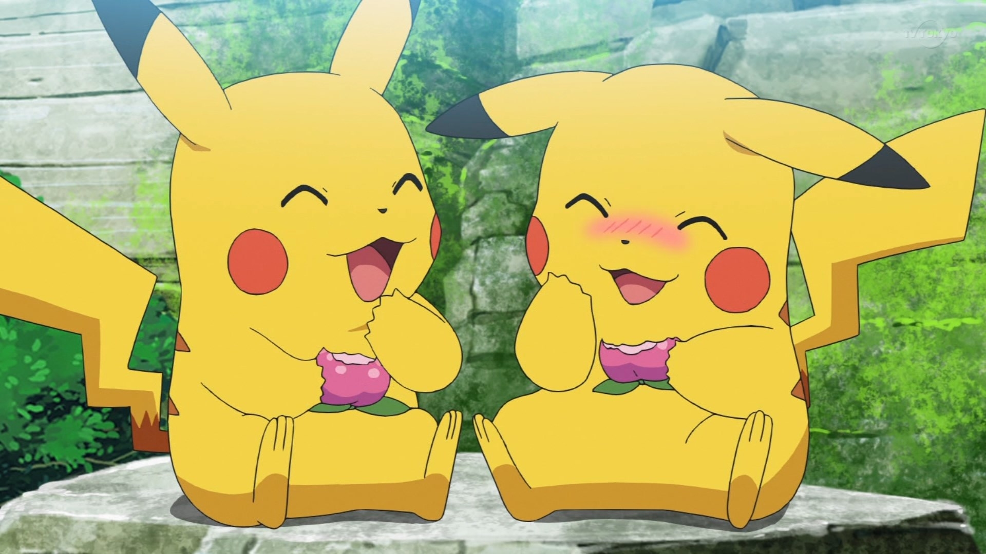 Gotta Catch a What?! - Pokémon Journeys