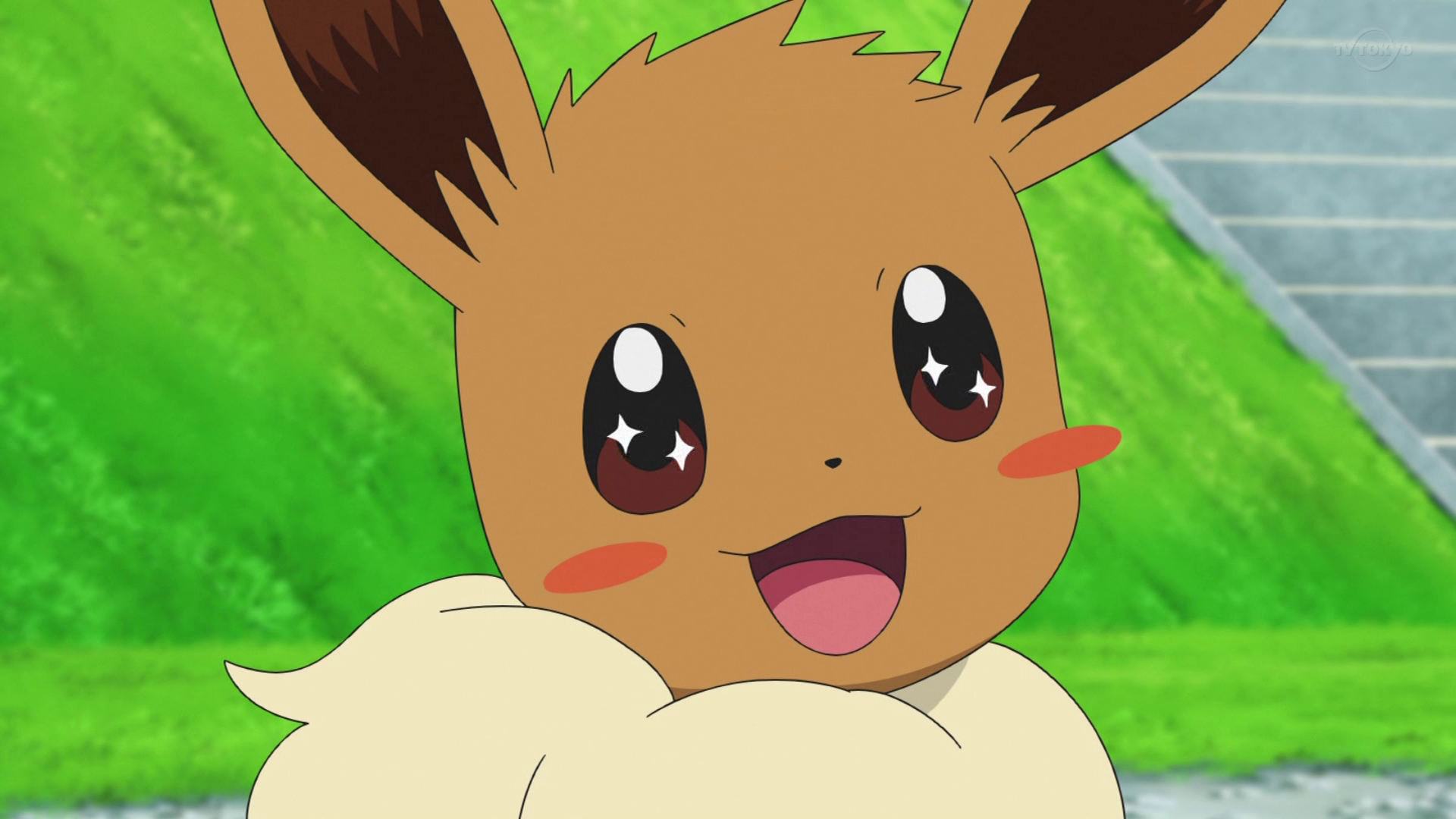 ¡Entrenar o no entrenar! - Viajes Maestros Pokémon
