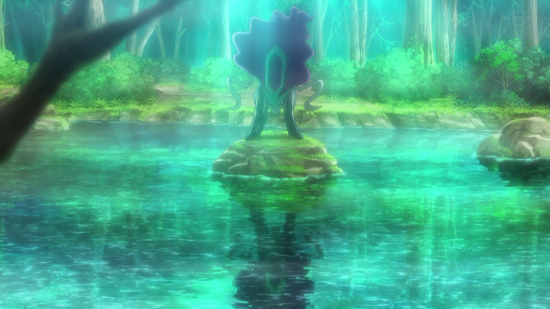 ¡Sanando al sanador! - Viajes Maestros Pokémon
