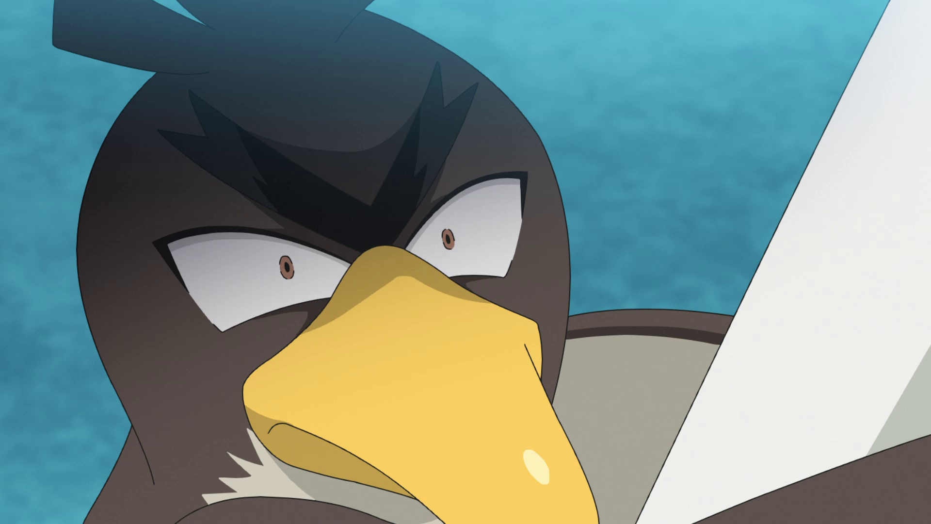 Más allá de la gallardía... ¡Buscando ser un maestro del puerro! - Viajes Maestros Pokémon
