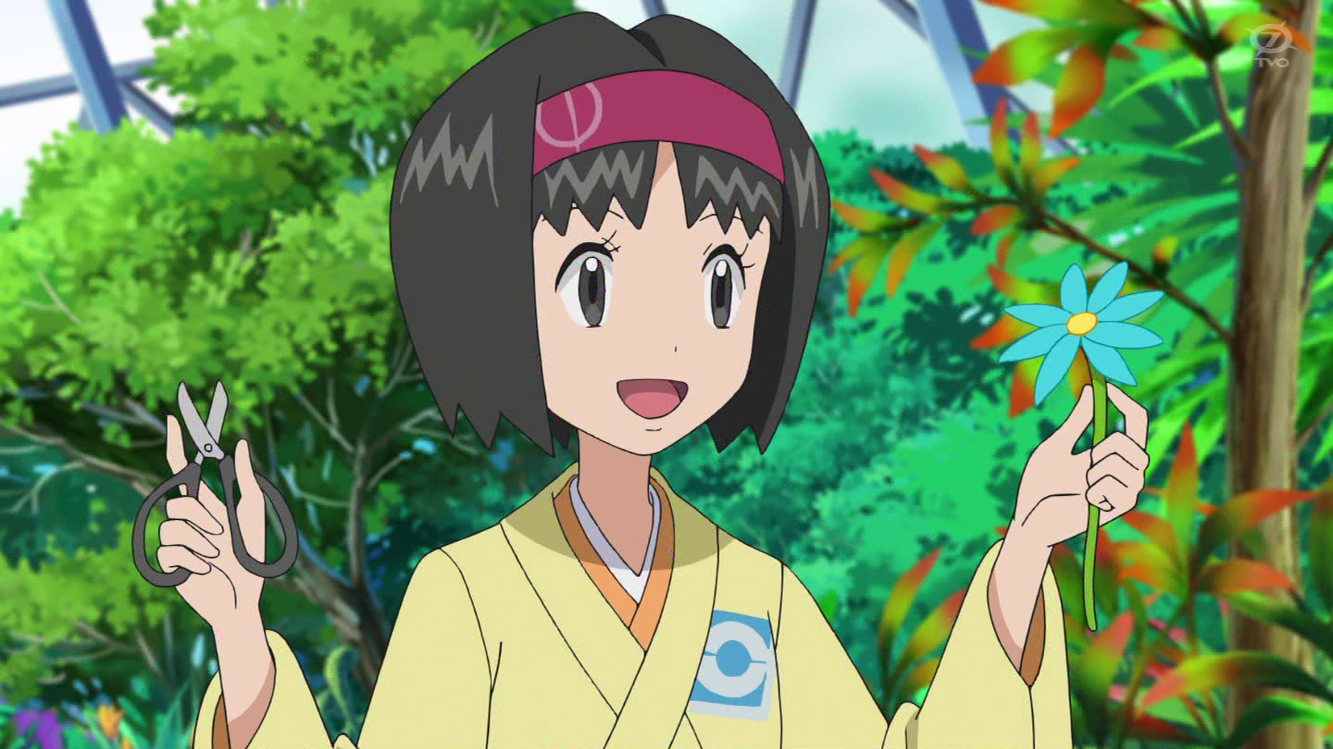 ¡Las aventuras de una Pinsir enamorada! - Viajes Definitivos Pokémon